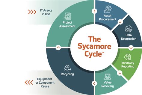 Process – Sycamore International