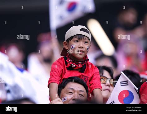 South Korea Fans In The Stands During The Fifa World Cup Group H Match At The Education City