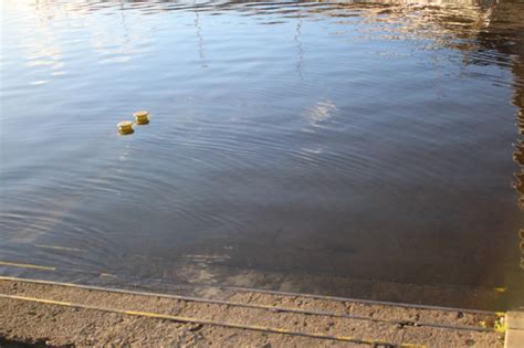 Wysoki poziom wody w Odrze i Zalewie Szczecińskim Czy grożą nam