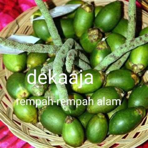 Jual Buah Pinang Atau Jambe Muda Kg Shopee Indonesia