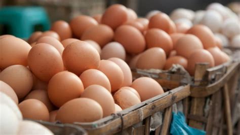 Uova Fresche Ritirate Dal Mercato Per Presenza Di Salmonella Allerta