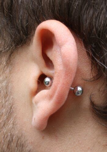 Bold Conch Piercing Ideas For Men Styleoholic