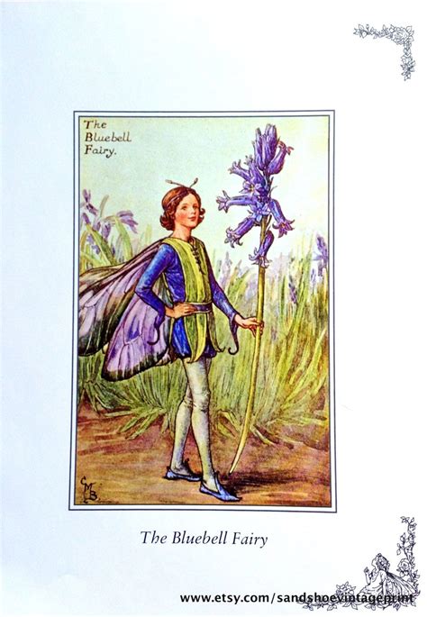 1930s The Speedwell Fairy And The Bluebell Fairy Cicely Mary Barker