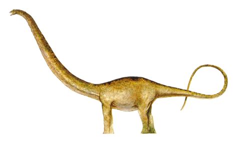 Mamenchisaurus sinocanadorum (S/F) | Jurassic-Pedia