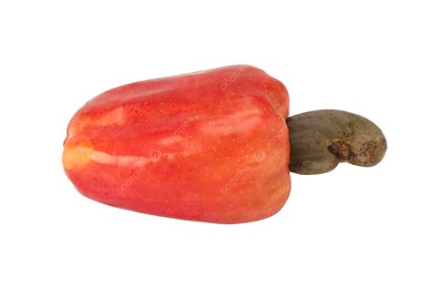 Brazilian Caju Cashew Fruit Caju Nature Nut Leaf PNG Transparent