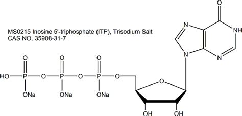 Inosine 5 triphosphate ITP Trisodium Salt 肌苷5 三磷酸三钠盐 上海懋康生物科技有限公司