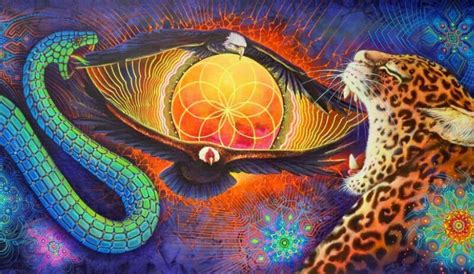 Ayahuasca Qu Es Y Para Qu Sirve Centro Awkipuma