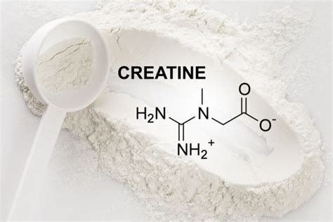 10 Different Types Of Creatine: What is the Best Type?