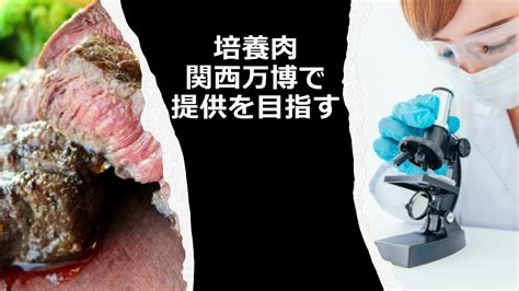 培養肉を関西万博で提供を目指す