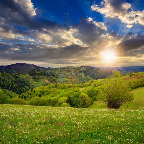 Village On Hillside Meadow With Forest In Mountain Stock Image Image