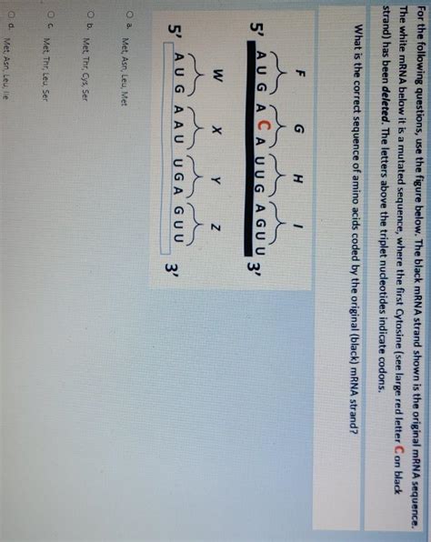 Solved For the following questions, use the figure below. | Chegg.com 