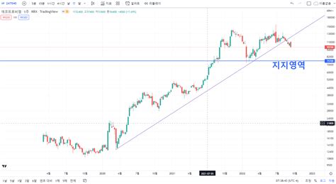 에코프로비엠 주가 전망 차트 분석 2023년 장기적 관점 Coinstock