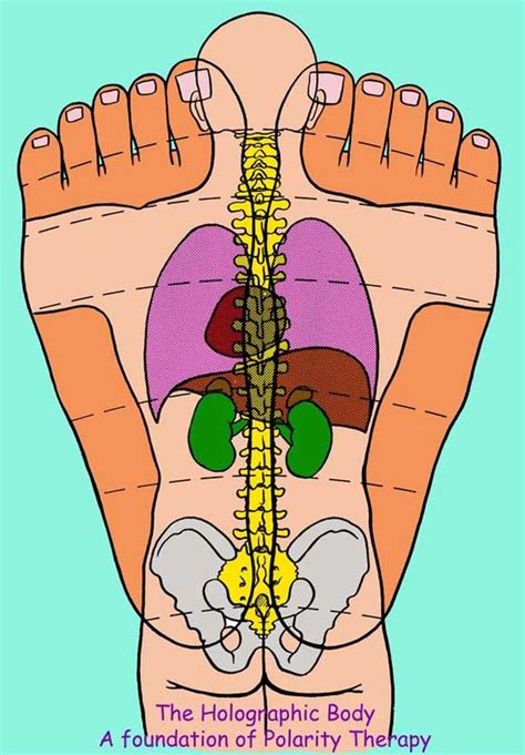 Foot Reflexology | Body of Health