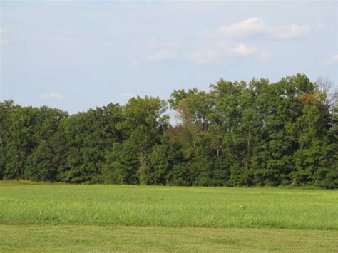 Bakerville Jefferson County IL Undeveloped Land For Sale Property ID