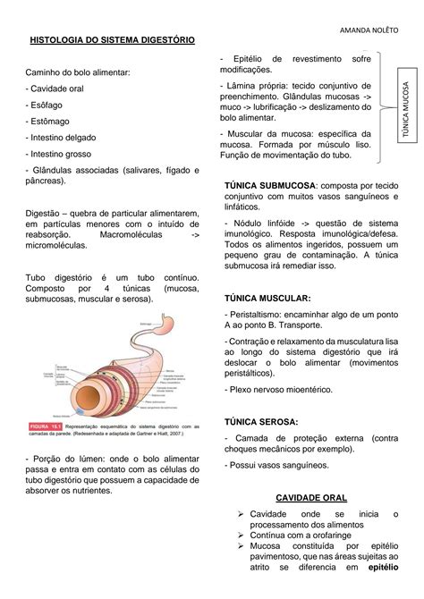 SOLUTION Histologia Do Sistema Digest Rio Studypool