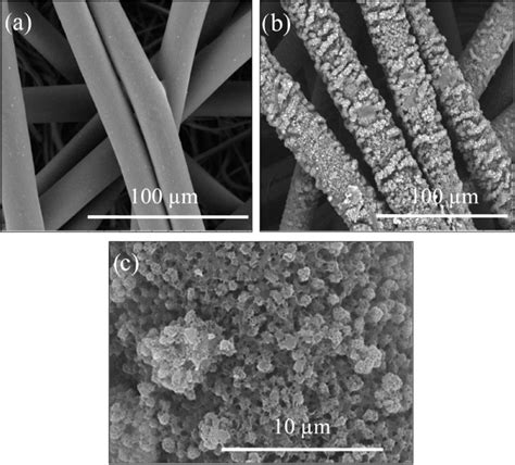 Sample Sem Images Showing The Morphology Of The Fiber Surface Of A