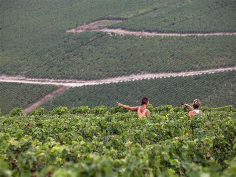 Nicolas Feuillatte Cuvée Spéciale Rosé Brut Champagner