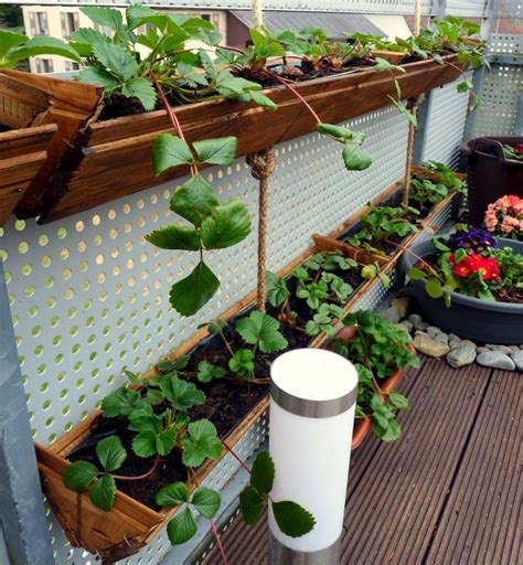 Container Gardening Diy Strawberry Planter Easy And Unexpensive