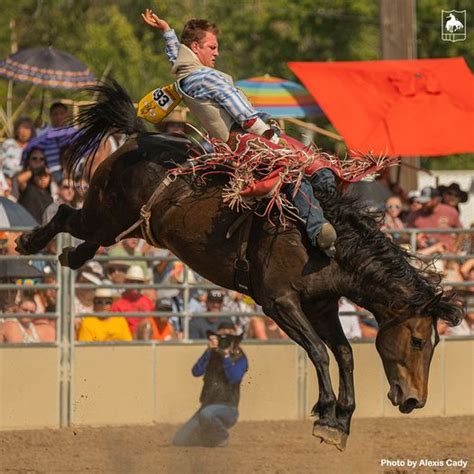 Pendleton Round Up 2023 Cheap Sale