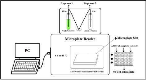 Schematic View Of The Instrumentation Used For Absorbance Measurements