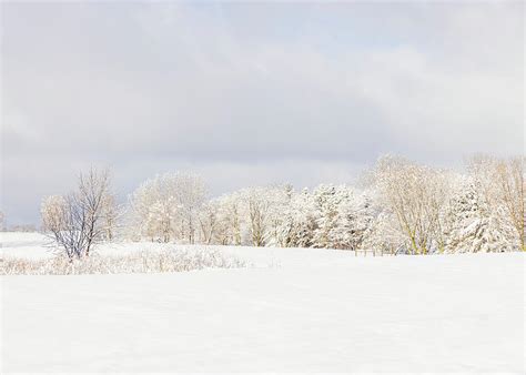 Winter Snow Clouds Photograph by Patti Deters - Fine Art America