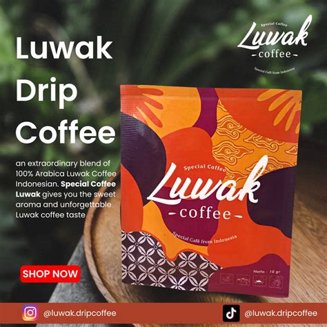 Jual Kopi Luwak Luwak Coffee Drip Bag 100 Pure Arabica Shopee Indonesia