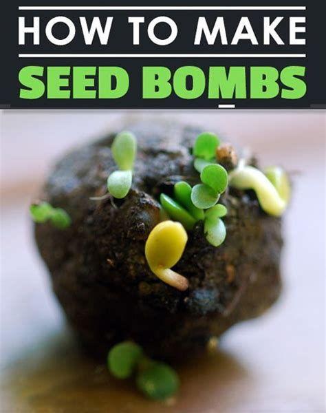 DIY Garden Seed Bombs