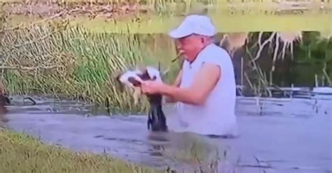 Man Jumps Into Murky Pond Literally Pries Dog From Gators Jaws