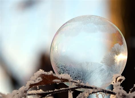 Free Images Water Branch Snow Cold Winter Light Structure