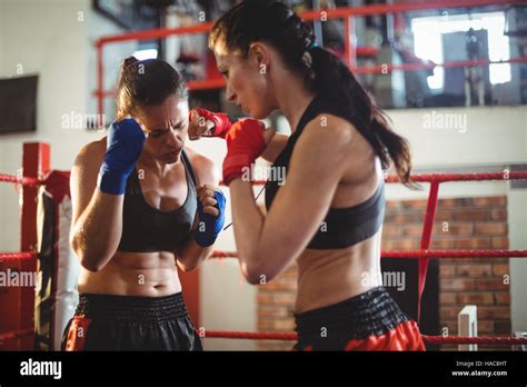 Female Boxers Fighting In Boxing Ring Stock Photo Alamy