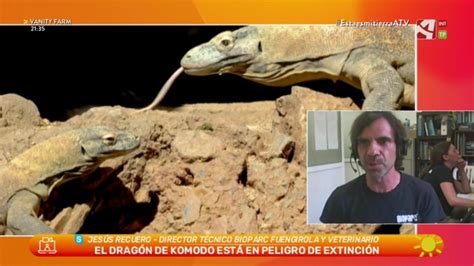 Dragón de Komodo Canal ods Aragón Sostenible CARTV