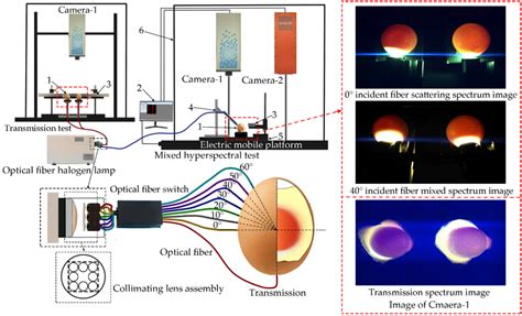 Sensors Free Full Text Nondestructive Detection For Egg Freshness Based On Hyperspectral