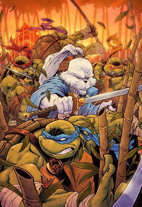 Teenage Mutant Ninja Turtles Usagi Yojimbo Wherewhen 1 Reviews