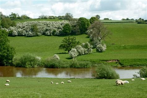 Pasture By The River Severn South Of © Roger D Kidd Geograph