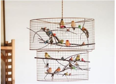 Several Birds Are Perched On The Branches Of A Birdcage Hanging From A