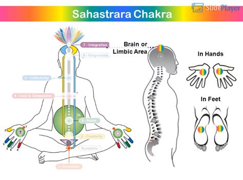 The Sahasrara Chakra (Integration) – Sahaja Yoga Science