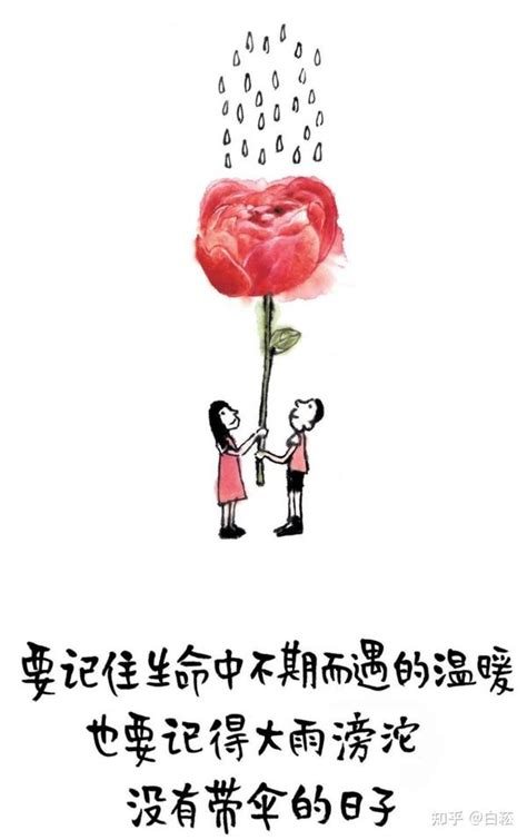 读书分享 《等一朵花开》 知乎