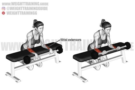 Incline Reverse Grip Dumbbell Bench Press Exercise Instructions And Video