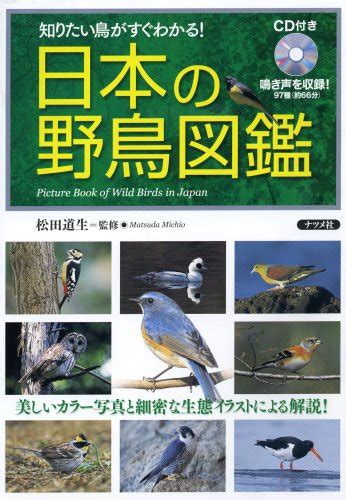 【2024年】野鳥図鑑のおすすめ人気ランキング10選【バードウォッチングにも！】｜ランク王