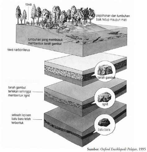 Potensi Dan Persebaran Sumber Daya Energi Geografisku