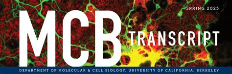 Spring Mcb Transcript Molecular And Cell Biology