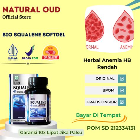 Jual Obat Herbal Anemia Aplastik HB Rendah ANEMIA Penambah Hemoglobin