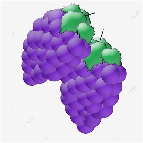 Material De Uva PNG Dibujos Gotitas De Agua Uvas Kyoho Uvas Moradas