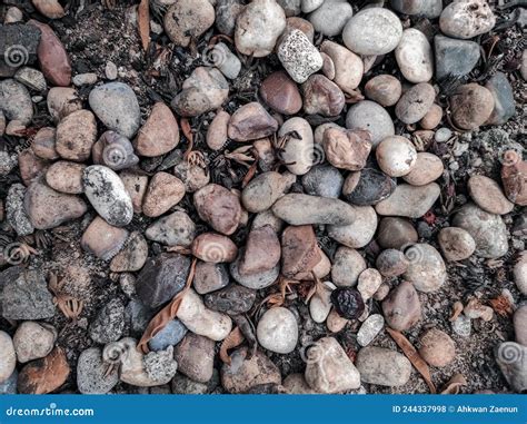 Pile Of Pebbles With Dry Leaves Stock Photo Image Of Material Gray