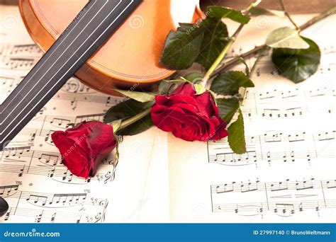 Beautiful Roses And Violin Stock Photo Image Of Musical Music 27997140