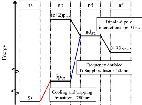 Schematic Energy Level Diagram Indicating The Transitions Involved