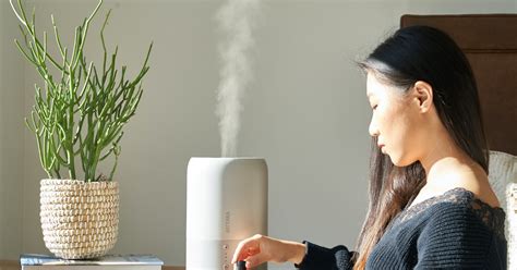 How To Use A Humidifier For Congestion Storables