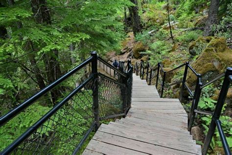 Photos of Toketee Falls - Oregon | AllTrails