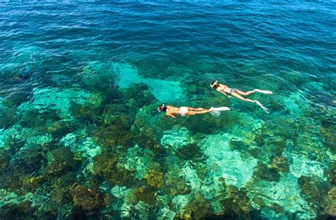 Dive Into 7 Of The Sunshine Coasts Best Snorkelling Spots Urban List Sunshine Coast