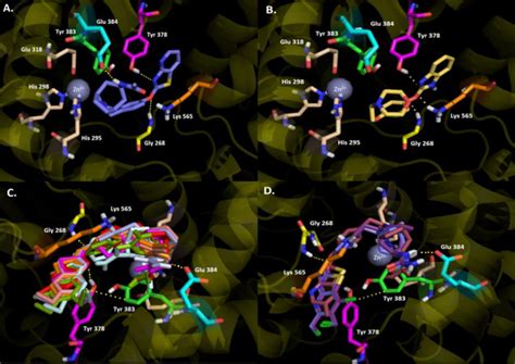 Fig S 3 Predicted Binding Mode And Predicted Intermolecular